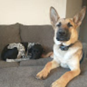 Meet your Posher, Eric